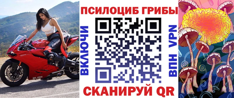 Купить где  Майский  Псилоцибиновые грибы мицелий 